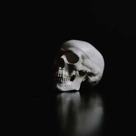 a photo of a skull against black background
