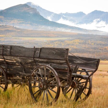 wagon in countryside